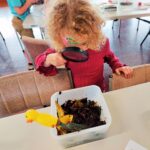 FREE Tiger Worm Workshop in Auckland