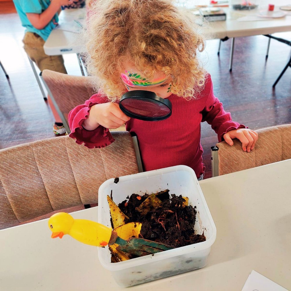 FREE Tiger Worm Workshop in Auckland