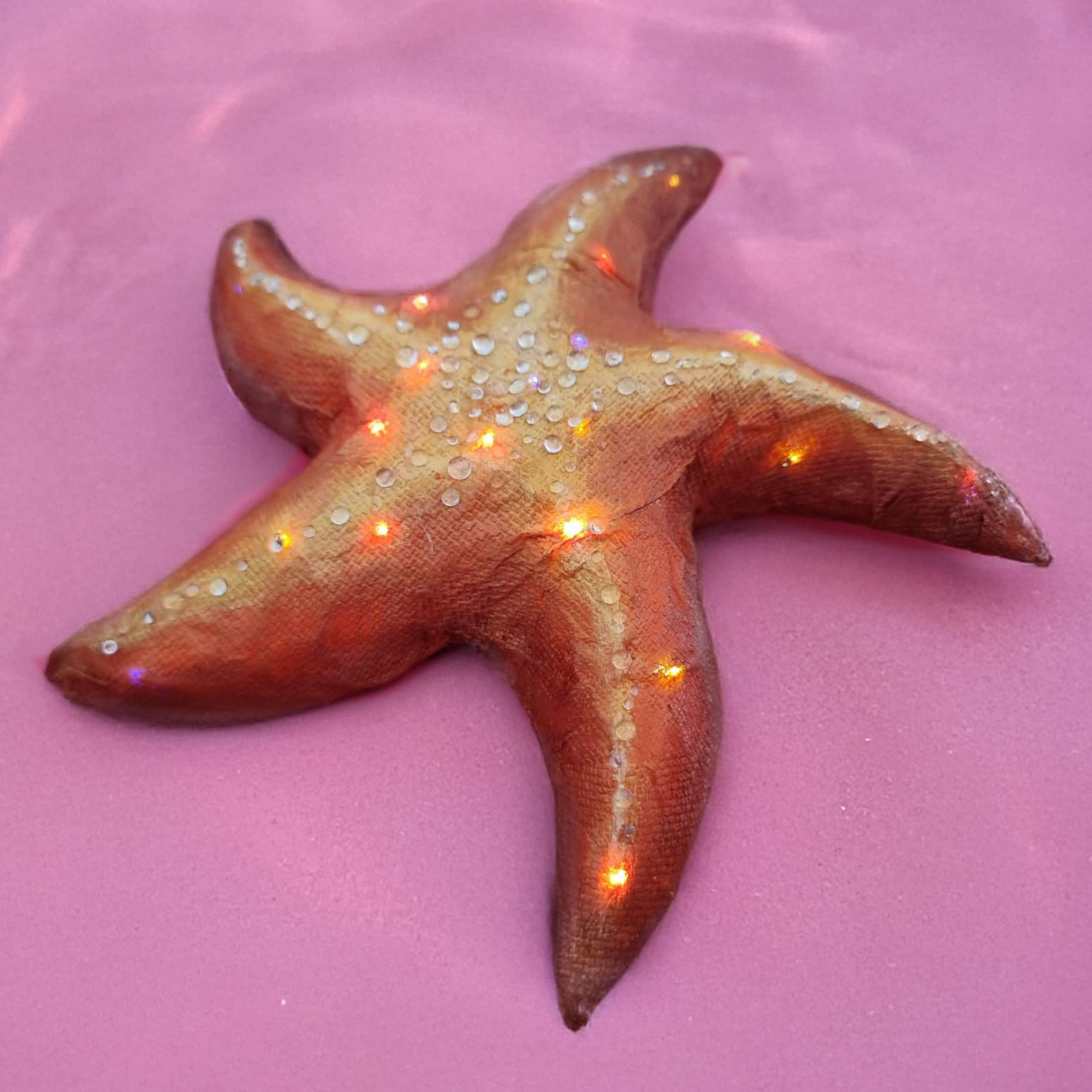 Starfish Lights & Ocean Delights Holiday workshop for ages 6+